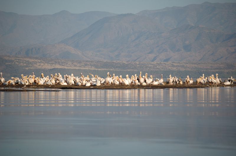 Safari Arba Minch -181.jpg