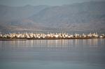 Safari Arba Minch -181.jpg
