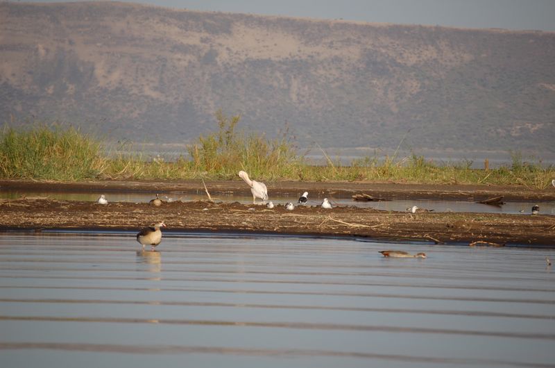 Safari Arba Minch -182.jpg