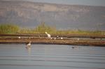 Safari Arba Minch -182.jpg