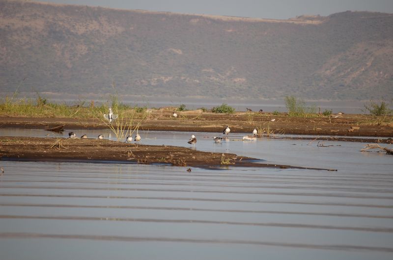Safari Arba Minch -183.jpg