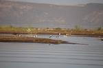 Safari Arba Minch -183.jpg