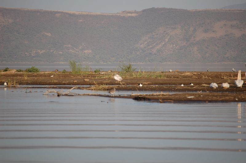 Safari Arba Minch -184.jpg
