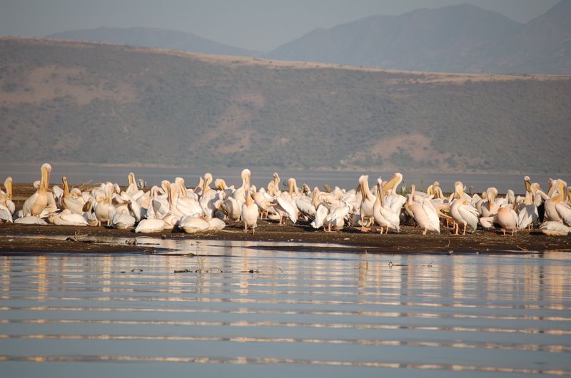 Safari Arba Minch -185.jpg