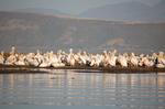 Safari Arba Minch -185.jpg