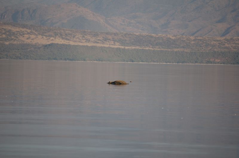 Safari Arba Minch -186.jpg