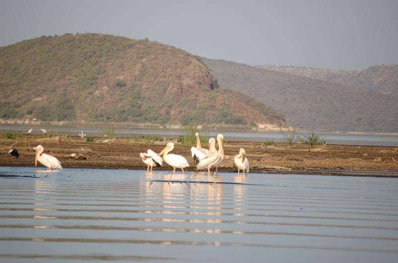 Safari Arba Minch -187.jpg