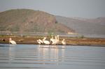 Safari Arba Minch -187.jpg
