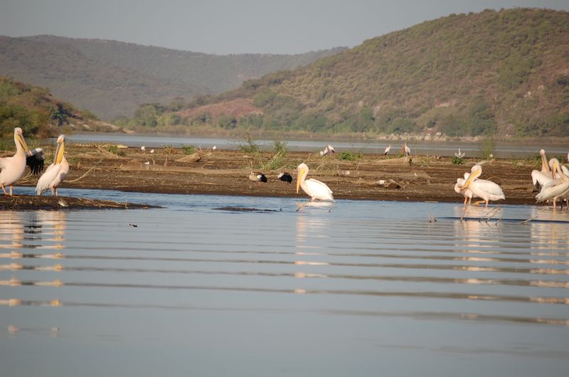 Safari Arba Minch -188.jpg