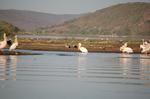 Safari Arba Minch -188.jpg