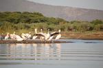 Safari Arba Minch -189.jpg
