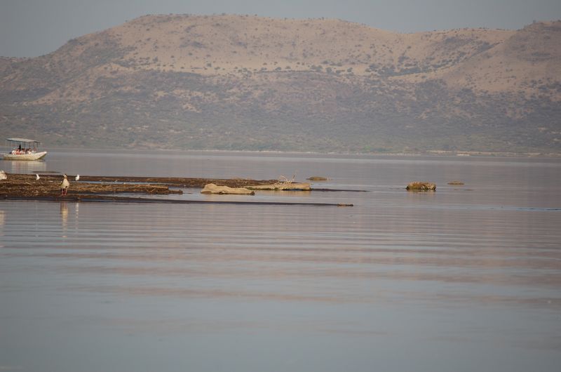 Safari Arba Minch -190.jpg