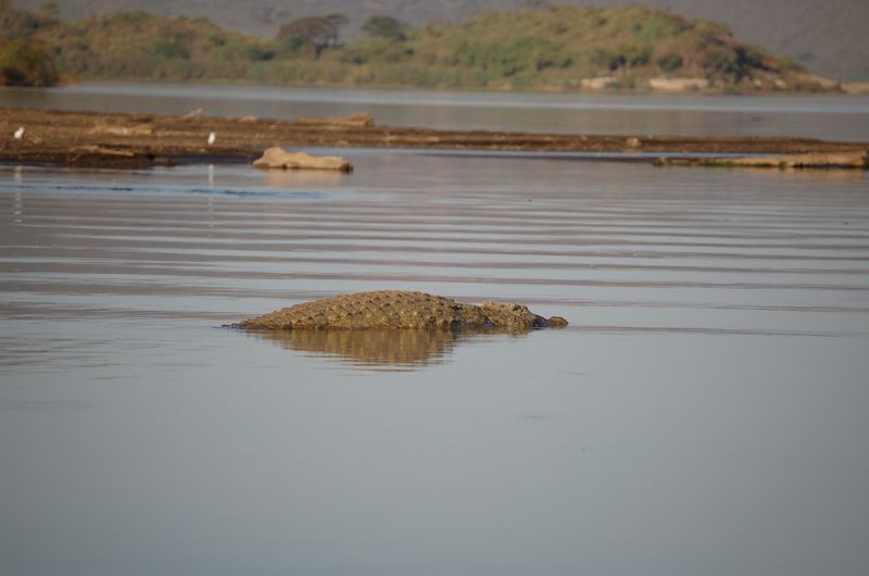 Safari Arba Minch -192.jpg