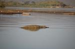 Safari Arba Minch -192.jpg