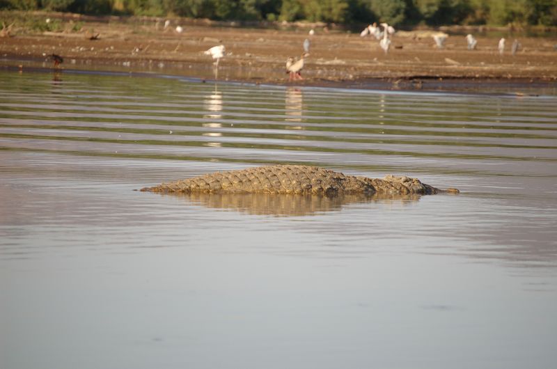 Safari Arba Minch -193.jpg