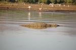 Safari Arba Minch -193.jpg