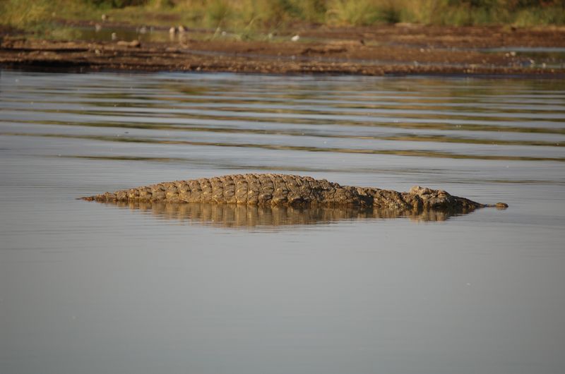 Safari Arba Minch -194.jpg