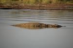 Safari Arba Minch -194.jpg