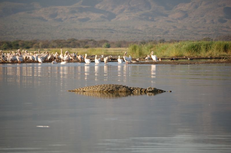 Safari Arba Minch -195.jpg