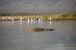 Safari Arba Minch -195.jpg