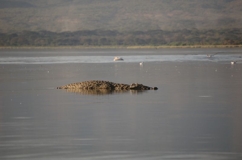 Safari Arba Minch -196.jpg