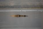 Safari Arba Minch -196.jpg