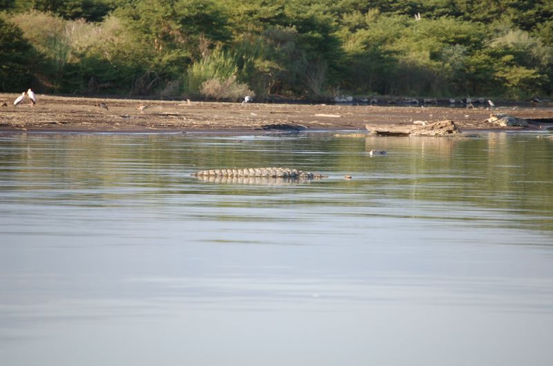Safari Arba Minch -197.jpg