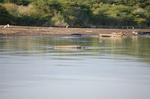 Safari Arba Minch -197.jpg