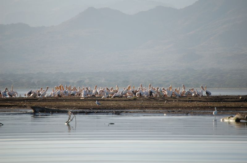 Safari Arba Minch -198.jpg