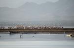 Safari Arba Minch -198.jpg