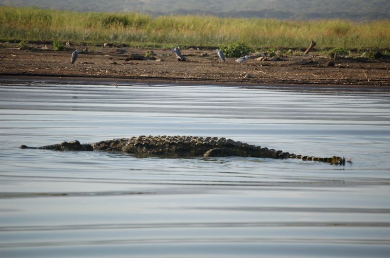 Safari Arba Minch -199.jpg