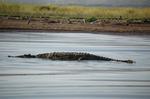Safari Arba Minch -199.jpg