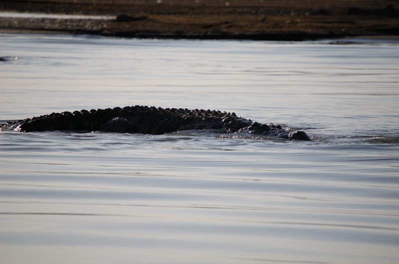 Safari Arba Minch -201.jpg