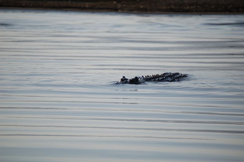 Safari Arba Minch -203.jpg
