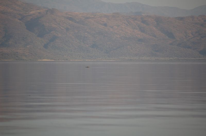 Safari Arba Minch -204.jpg