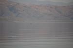 Safari Arba Minch -204.jpg