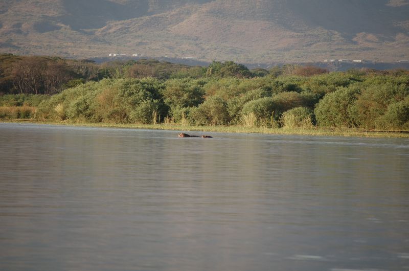 Safari Arba Minch -205.jpg