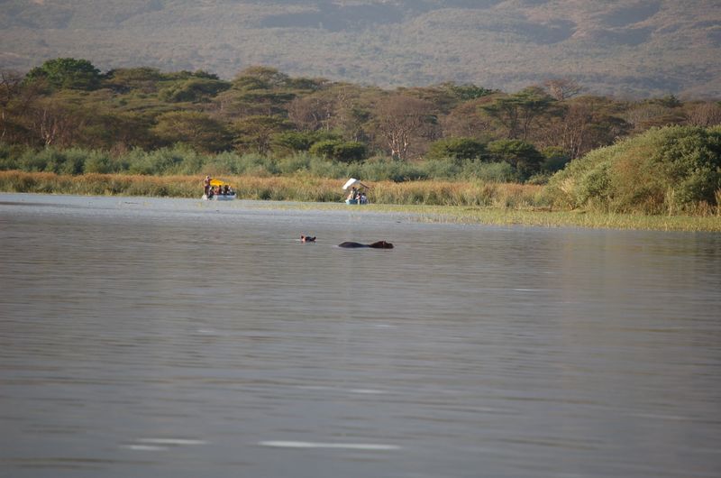 Safari Arba Minch -207.jpg