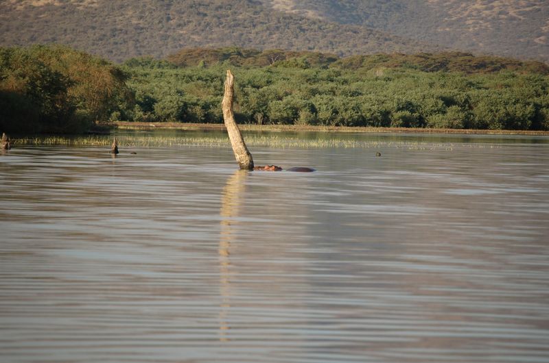 Safari Arba Minch -208.jpg