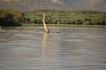 Safari Arba Minch -208.jpg