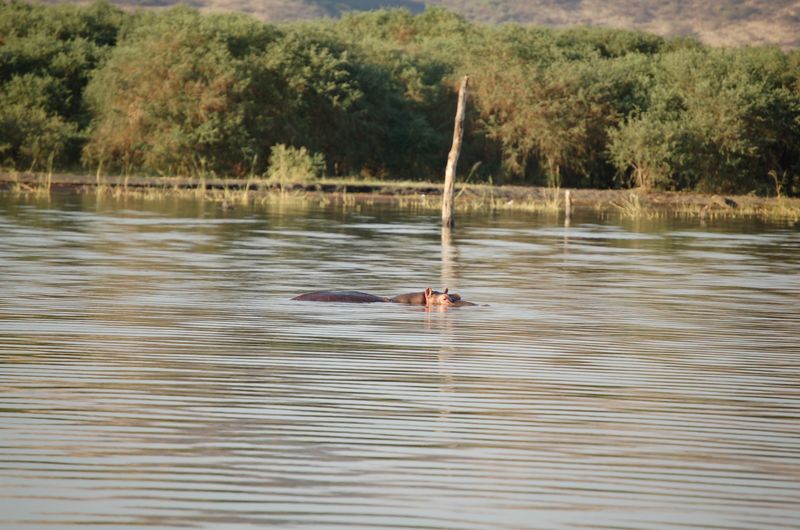Safari Arba Minch -209.jpg