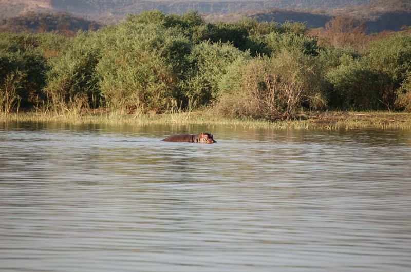 Safari Arba Minch -210.jpg
