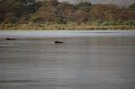 Safari Arba Minch -211.jpg