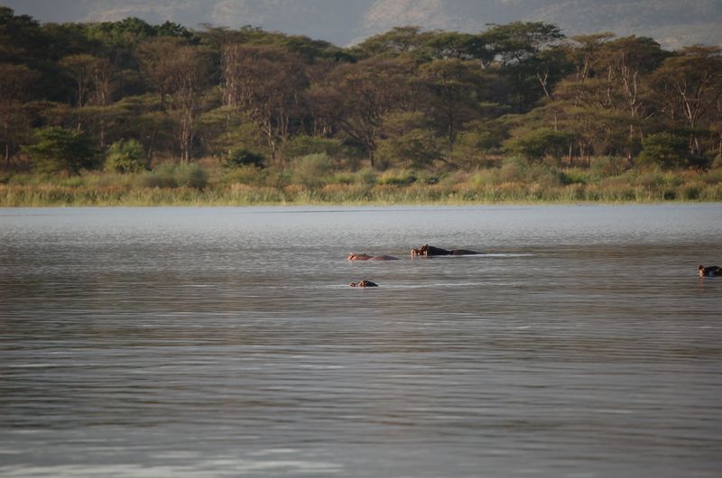 Safari Arba Minch -212.jpg