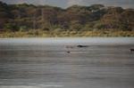 Safari Arba Minch -212.jpg