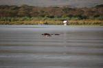 Safari Arba Minch -213.jpg