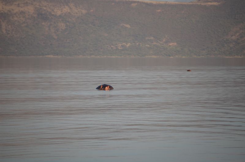 Safari Arba Minch -214.jpg