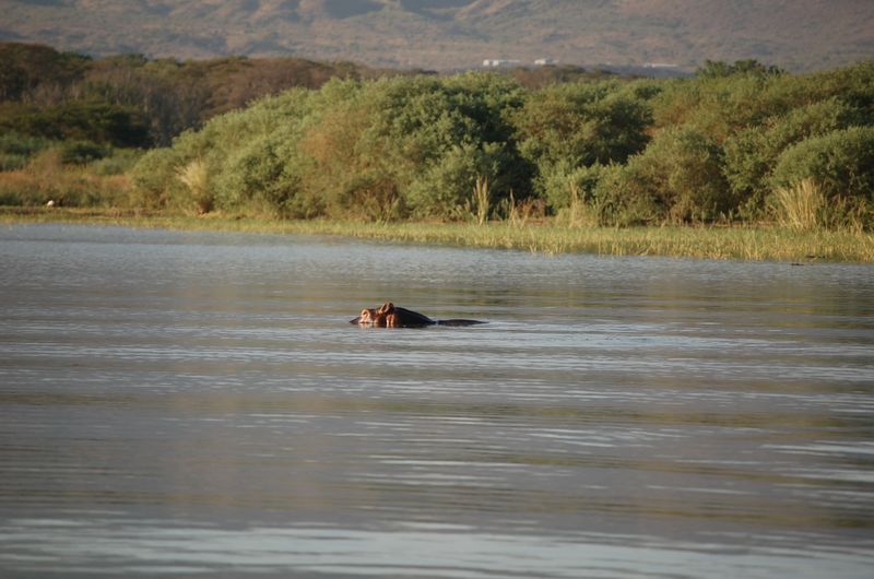 Safari Arba Minch -215.jpg