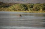 Safari Arba Minch -215.jpg