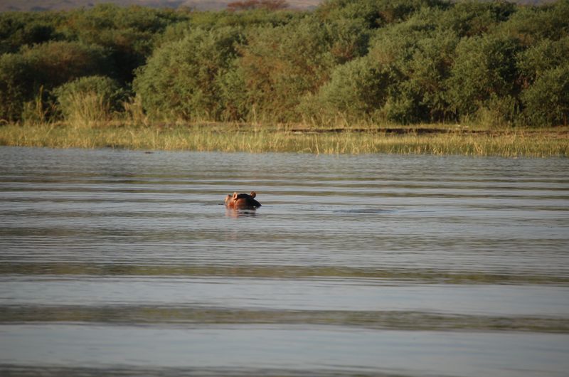 Safari Arba Minch -216.jpg